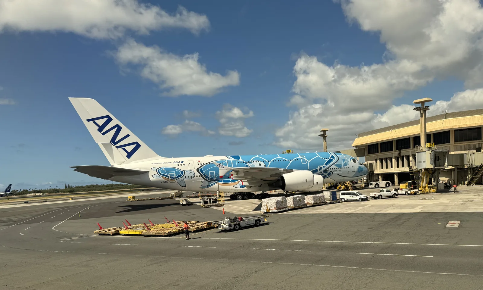 ホノルル空港のゲートに止まる ANA の総2階建て機 A380。白い機体の前方から胴体にかけて、青いウミガメの模様が大きく描かれている