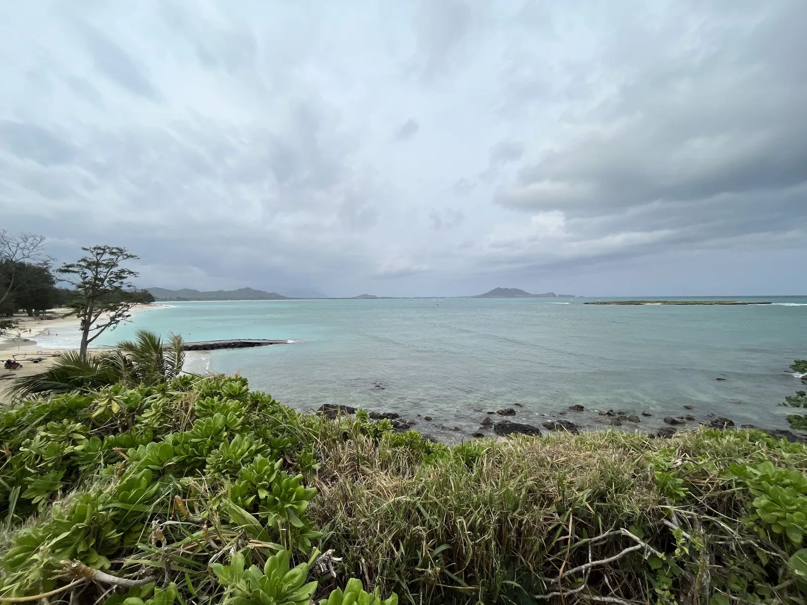 手前の緑の茂みの向こうに、穏やかな浅い海と遠くの山並みが広がる